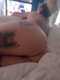 Ciapette