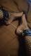 Piedi cavigliere_