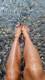 Piedi