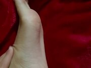Piedi